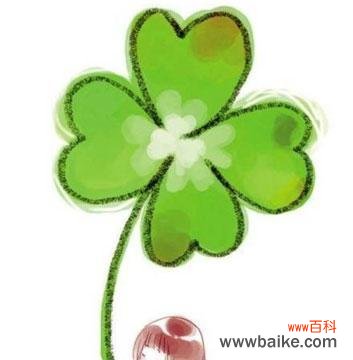 解读四叶草背后的含义，为你带来好运和祝福 四叶草的花语——幸运与祝福