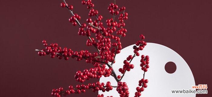 以“生命力”为 “冬青树花语