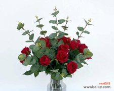 六朵玫瑰花在情人节有何特殊含义？