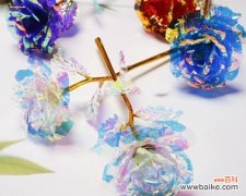 女人之间互送玫瑰花的含义是什么？女性送玫瑰花有何特殊寓意？