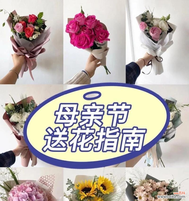 玫瑰与康乃馨各自花语是什么？