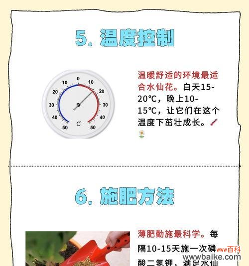 百合水仙的含义是什么？如何正确理解百合水仙？