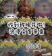 新人收到玫瑰花有哪些美好寓意？