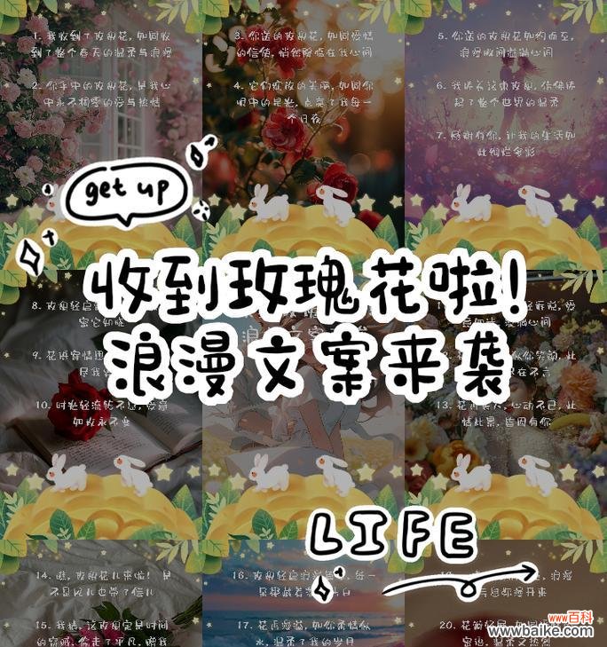 新人收到玫瑰花有哪些美好寓意?