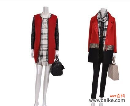 探索洛丽玛丝玫瑰的花语意义 洛丽玛丝玫瑰花语