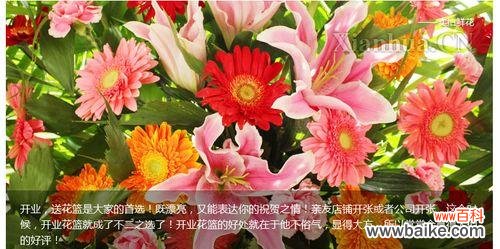 粉色百合花的花语是什么？粉色百合的含义有哪些？