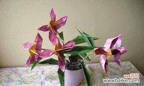 盆栽折纸有何寓意？给喜欢的人展示盆栽折纸代表什么？