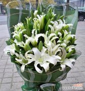 寄托纯洁与祝福的花语 白色百合花语