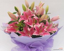 探究百合花在文化中的深刻含义 白色百合花的花语