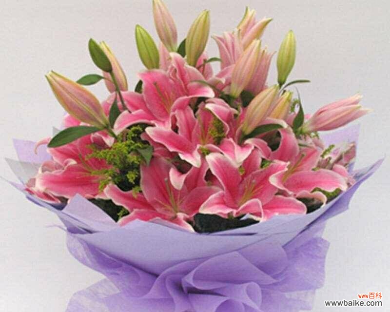 探究百合花在文化中的深刻含义 白色百合花的花语