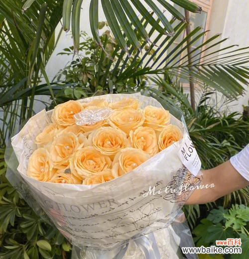 浪漫的爱情符号 19朵玫瑰代表意义