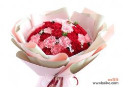 探寻康乃馨的历史文化和象征意义 红色康乃馨的花语与寓意