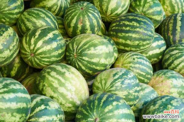西瓜多少钱一斤，西瓜照片