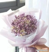 揭示满天星花束的美丽寓意与深远意义 满天星花束