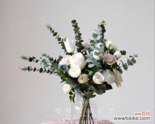 探究尤加利花语的秘密 尤加利花语的涵义和象征