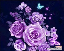 神秘高贵的紫色，代表的不仅仅是爱情 紫色玫瑰花的意义