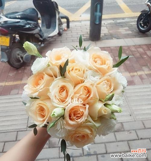 解读玫瑰之王的柔美力量,领略香槟色玫瑰的美丽内涵 香槟色玫瑰的花语象征与寓意