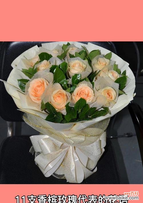 解读玫瑰之王的柔美力量,领略香槟色玫瑰的美丽内涵 香槟色玫瑰的花语象征与寓意