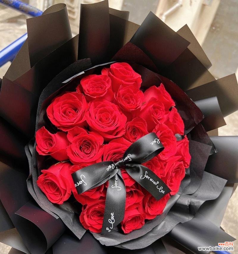18朵玫瑰花代表了什么情感？