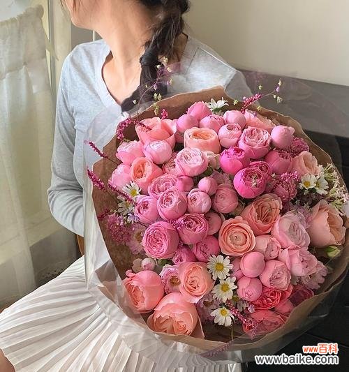 喜欢玫瑰花有何深层含义？为何有人偏爱玫瑰？