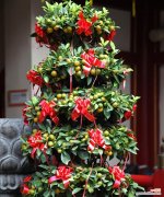 花卉简介在网络用语中是什么意思？花卉简介通常指什么？