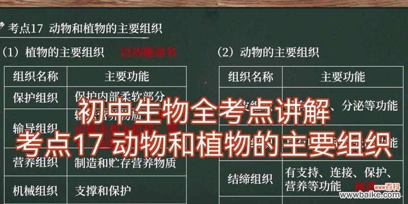 植物组织具体指的是什么？