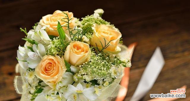 探究香槟玫瑰的神秘意义 香槟玫瑰花语的含义