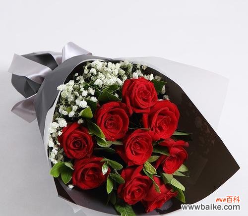 玫瑰花语 送9朵玫瑰的含义与传说