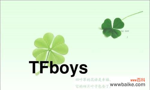 探寻四叶草的幸运神秘 四叶草的寓意与花语