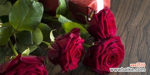 探索11朵玫瑰所代表的深层含义 11朵玫瑰的象征意义