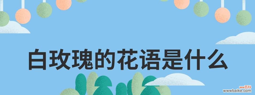 女孩子不喜欢白玫瑰有何深层含义？这背后可能隐藏着什么情感？