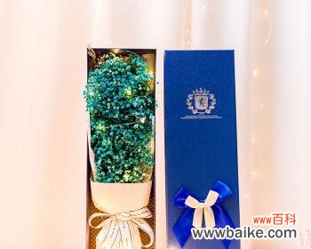 美丽如星辰，温柔如夜风；祝福如春雨，幸福如甜蜜。 蓝色满天星的花语与寓意