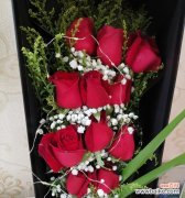 探索玫瑰的隐含寓意与数量的关系 玫瑰的象征意义及数量对照