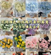 恋爱中送玫瑰花有何象征意义？这种传统是如何形成的？