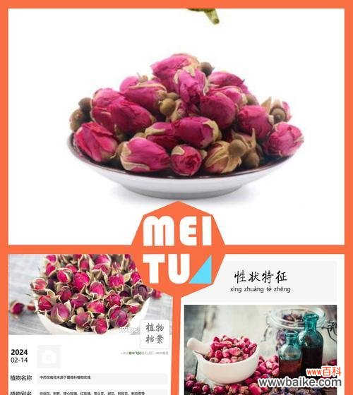 簪花玫瑰的寓意是什么？它传递了哪些信息？