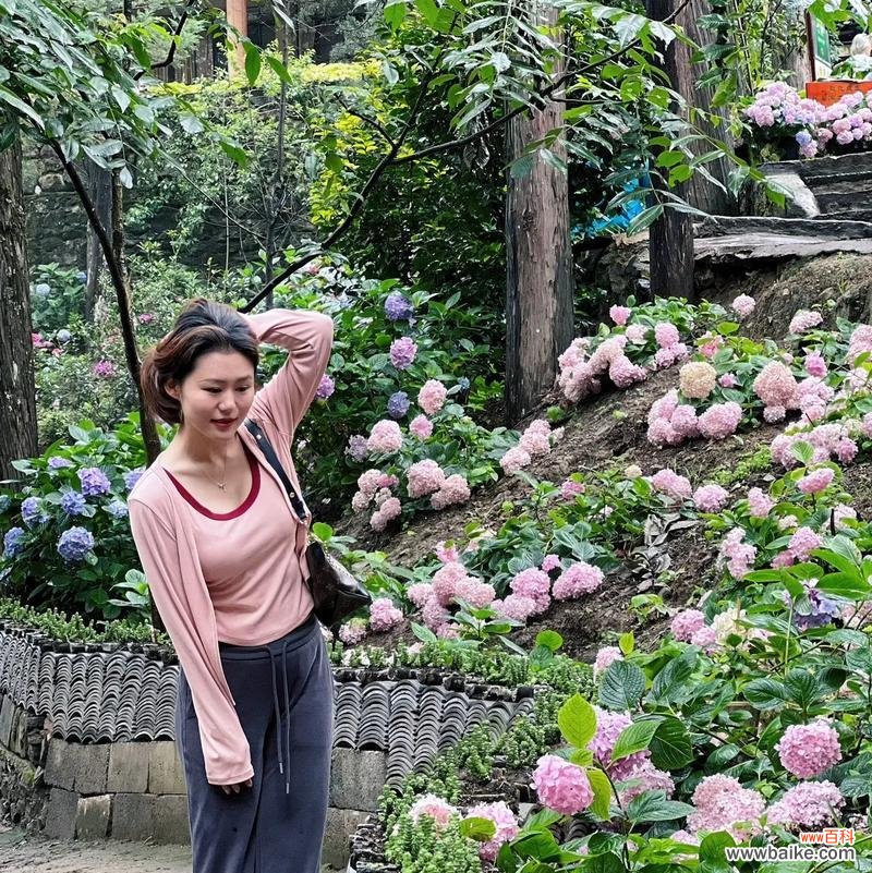 女教师送学生玫瑰花的含义是什么？它代表了什么意义？