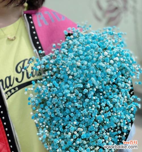 探寻满天星花的神话故事与寓意 满天星花的传说与花语