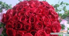 玫瑰花朵数揭示心意的秘密 玫瑰花朵数的象征意义——爱情、友谊与祝福