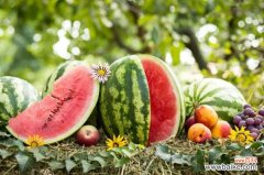 什么的西瓜，西瓜图片