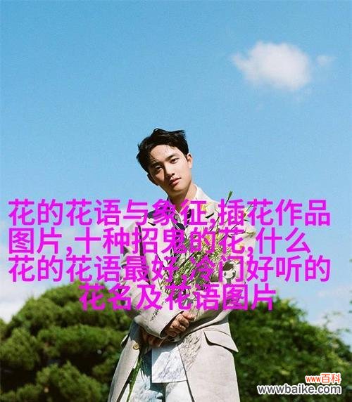 11朵百合花语的含义是什么?11朵百合代表了什么?