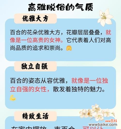 11朵百合花语的含义是什么?11朵百合代表了什么?