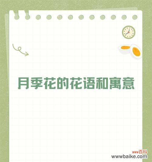 五月盛开的花朵有哪些及其对应的花语？