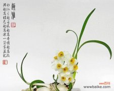 揭秘水仙花的神秘花语，让你更懂这朵优美的花 水仙花的花语
