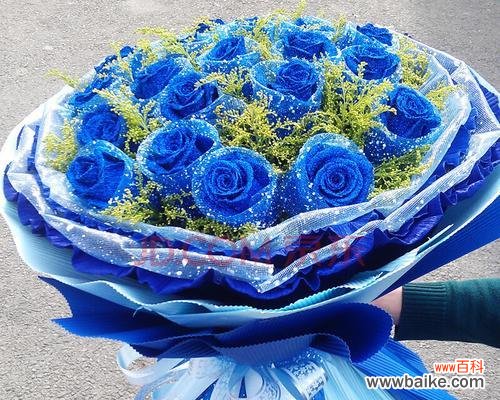 探寻玫瑰的十九种含义，用鲜花传递情感 十九朵玫瑰花语