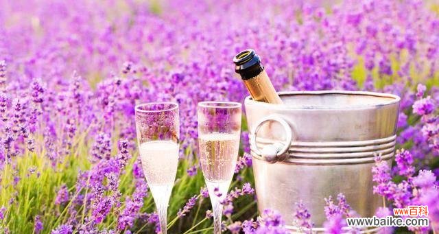 揭开薰衣草背后的花语意义 薰衣草的花语