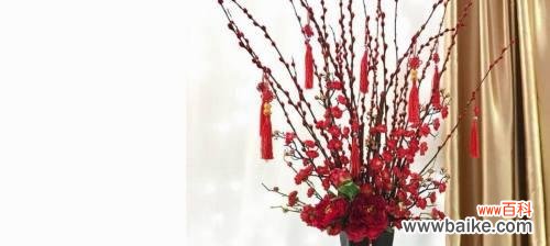 探寻银柳的内涵与价值 银柳的花语和寓意