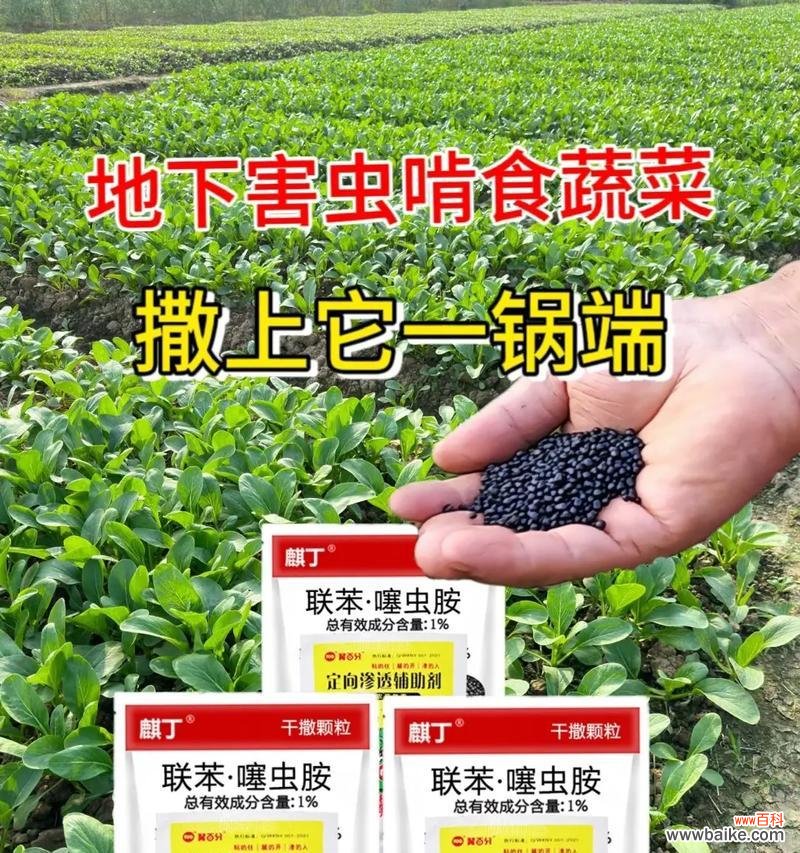 噻虫胺的标准是什么？它在农业应用中的重要性如何？