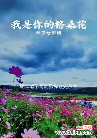 格桑花的花语是什么?它象征着什么样的情感?