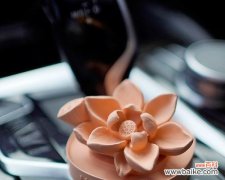 小车摆件荷花代表什么？