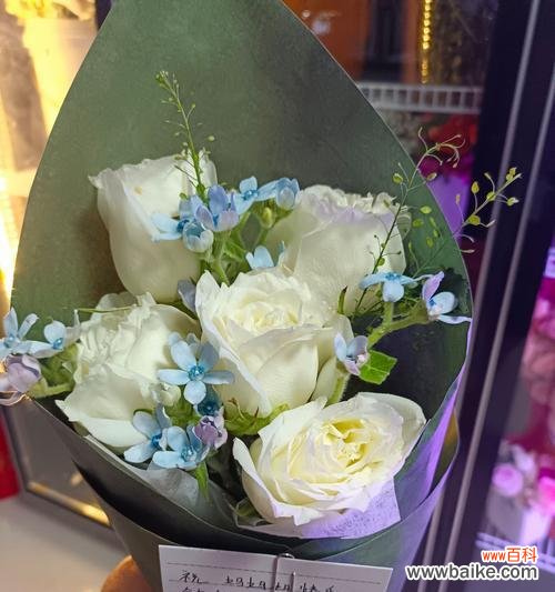 收到最好看的白玫瑰什么意思？白玫瑰的美丽背后隐藏着什么意义？